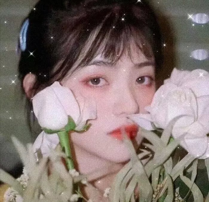 鲜血淋漓第三季
